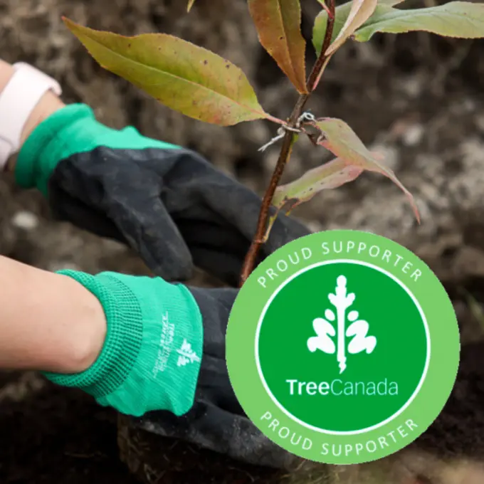 Tree Canada EN