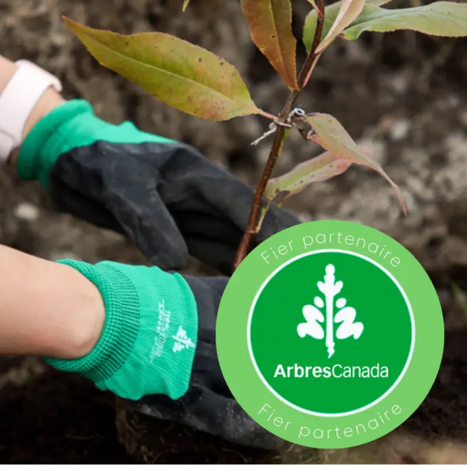 FR Arbres Canada