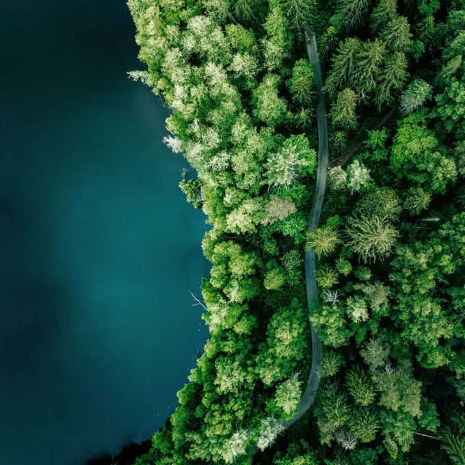 Environment - Lake with forest - Annual report 2020