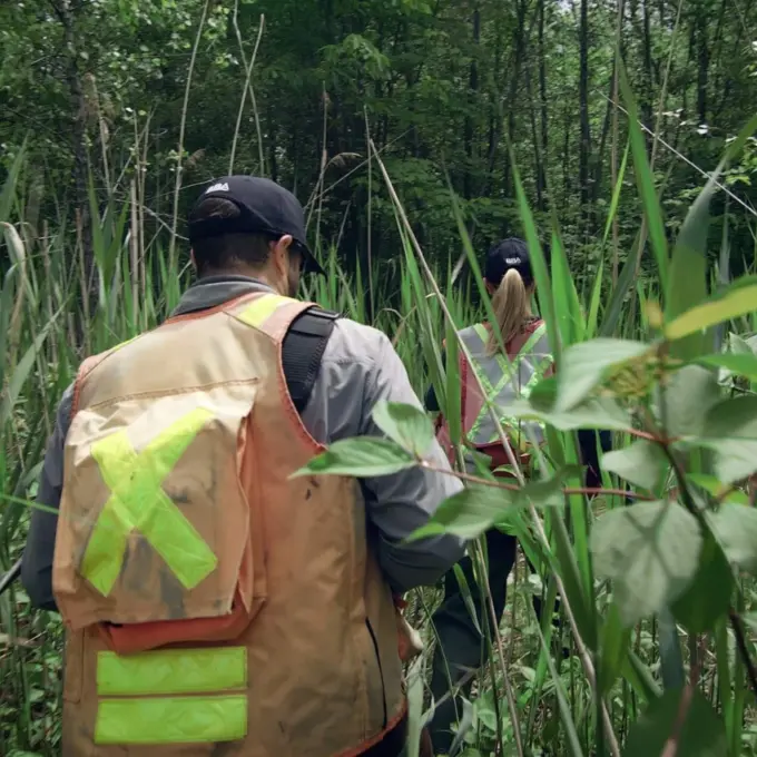 Environment - People walking in swamp through cattails