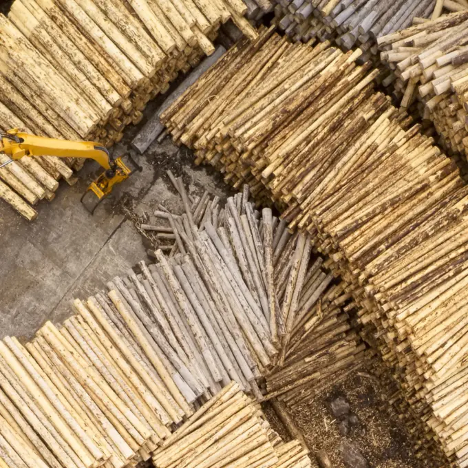 Pulp and paper - Truck sorting wood logs