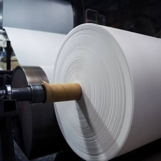 Project Page Hero Pulp and paper mill