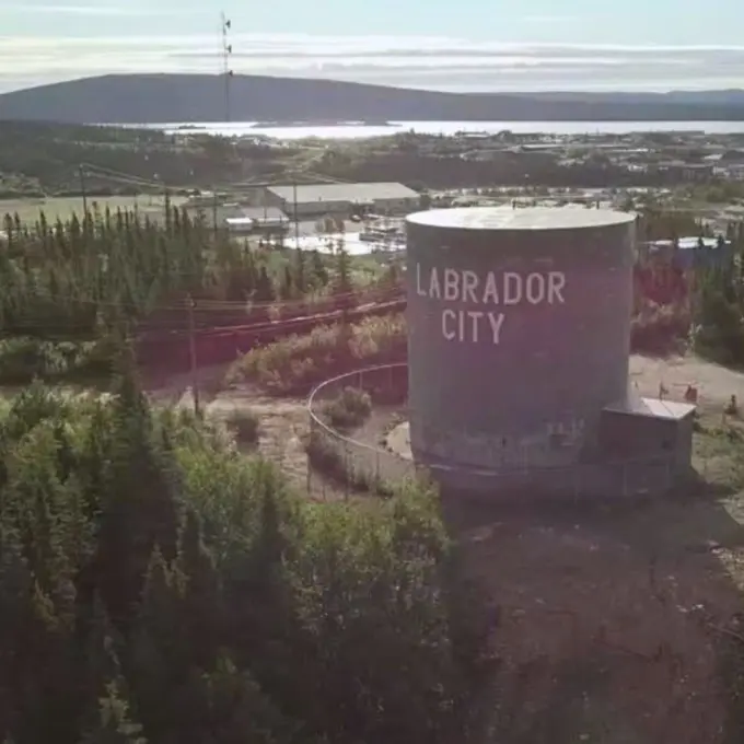 Labrador