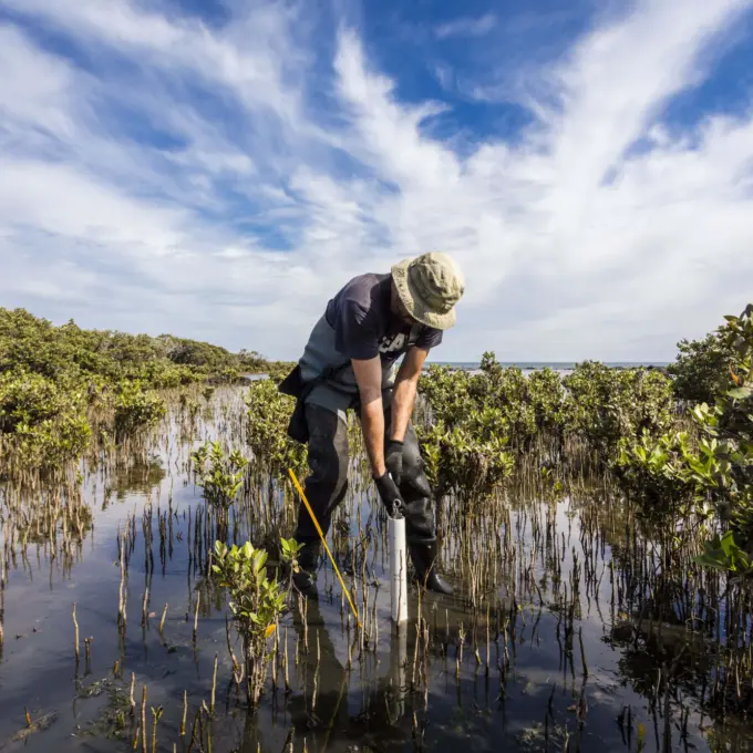 Environment - Man taking samples in swamp blue sky